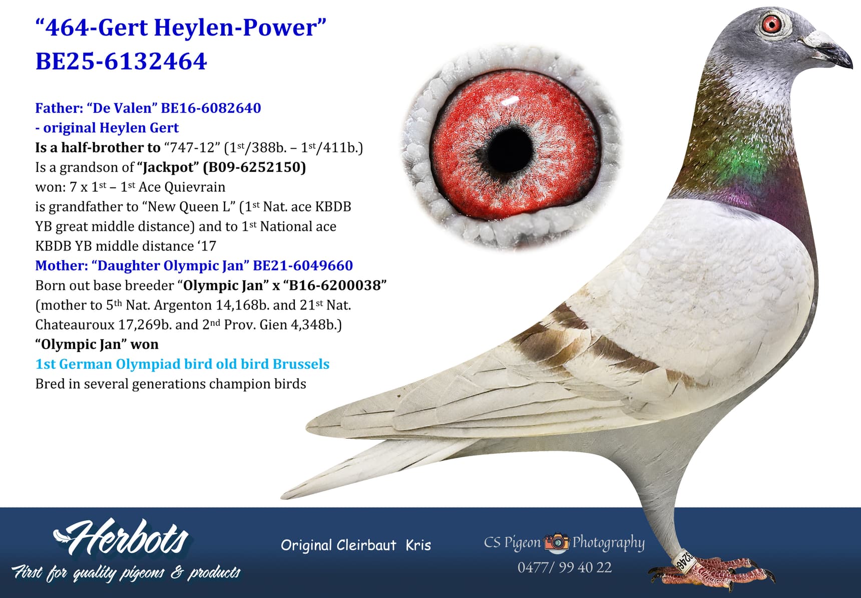 pigeon: undefined
