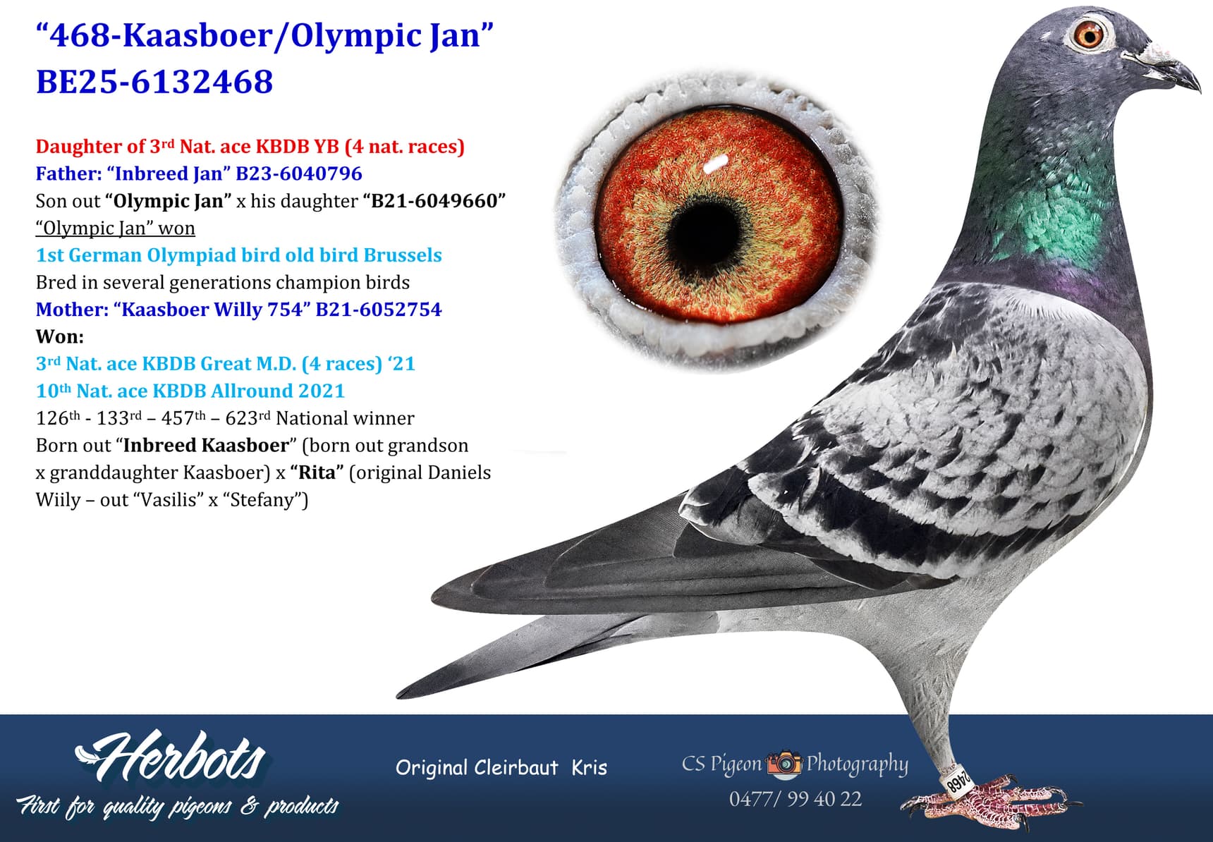 pigeon: undefined