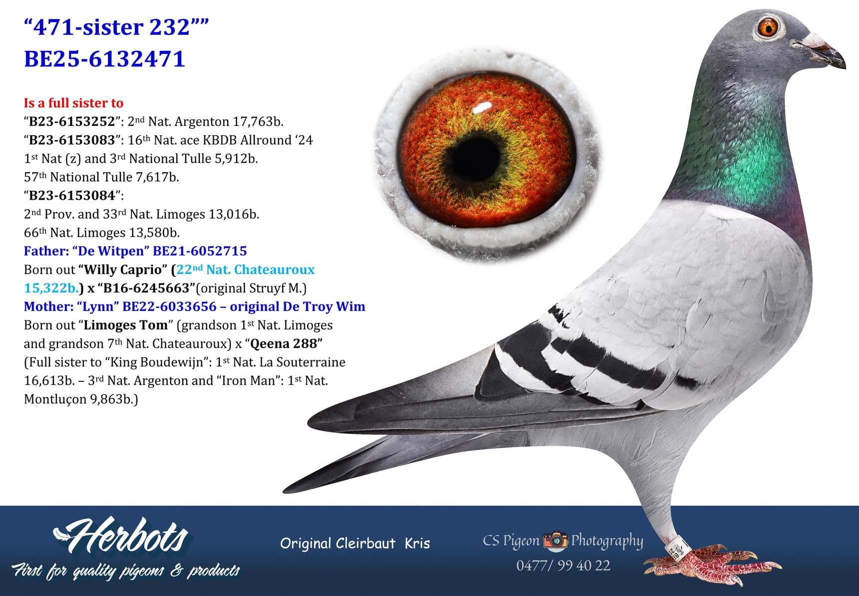 pigeon: undefined