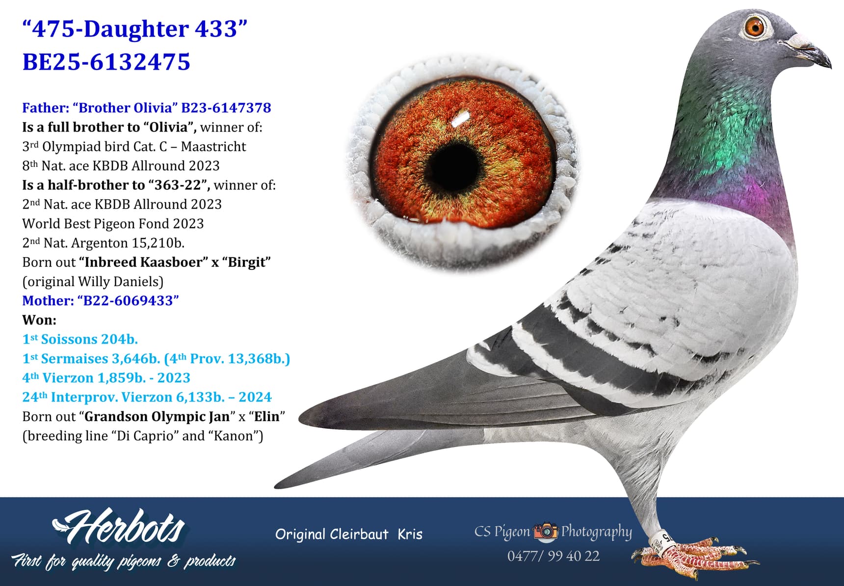 pigeon: undefined