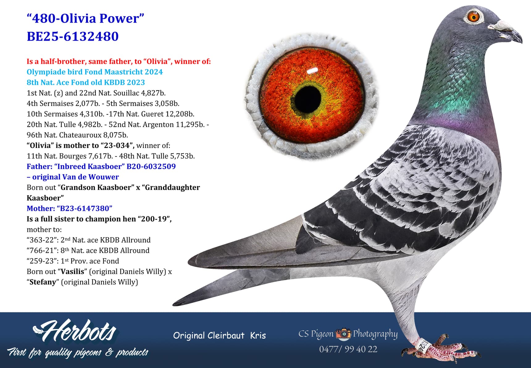 pigeon: undefined