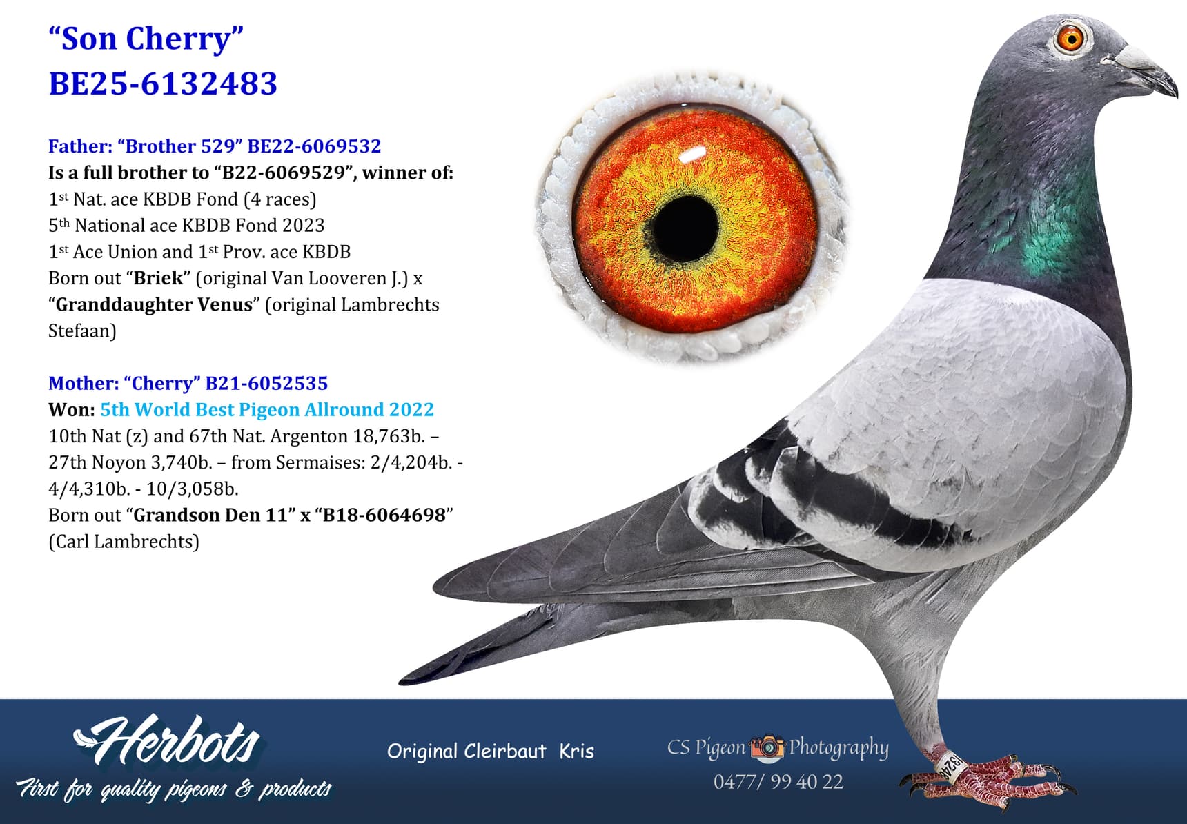 pigeon: undefined