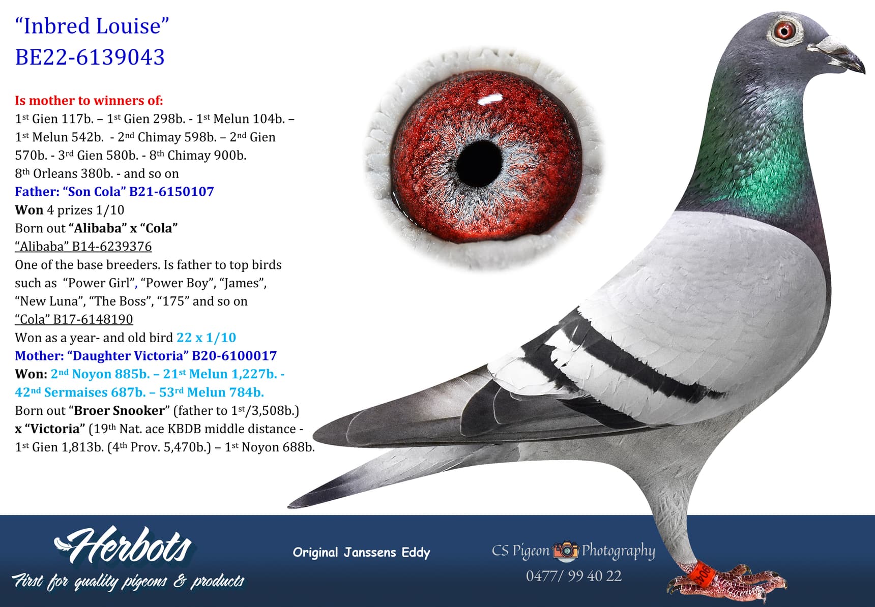 pigeon: undefined