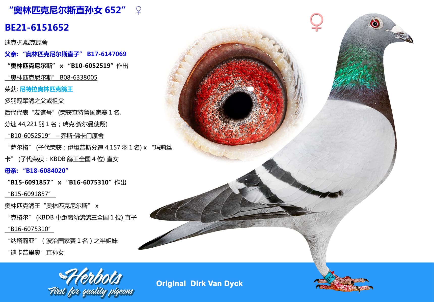 pigeon: undefined