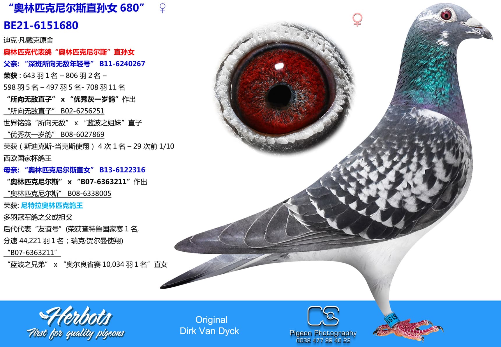 pigeon: undefined