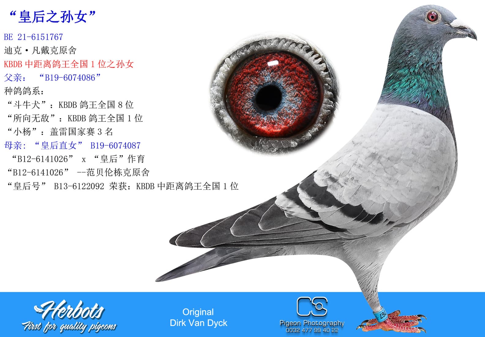 pigeon: undefined