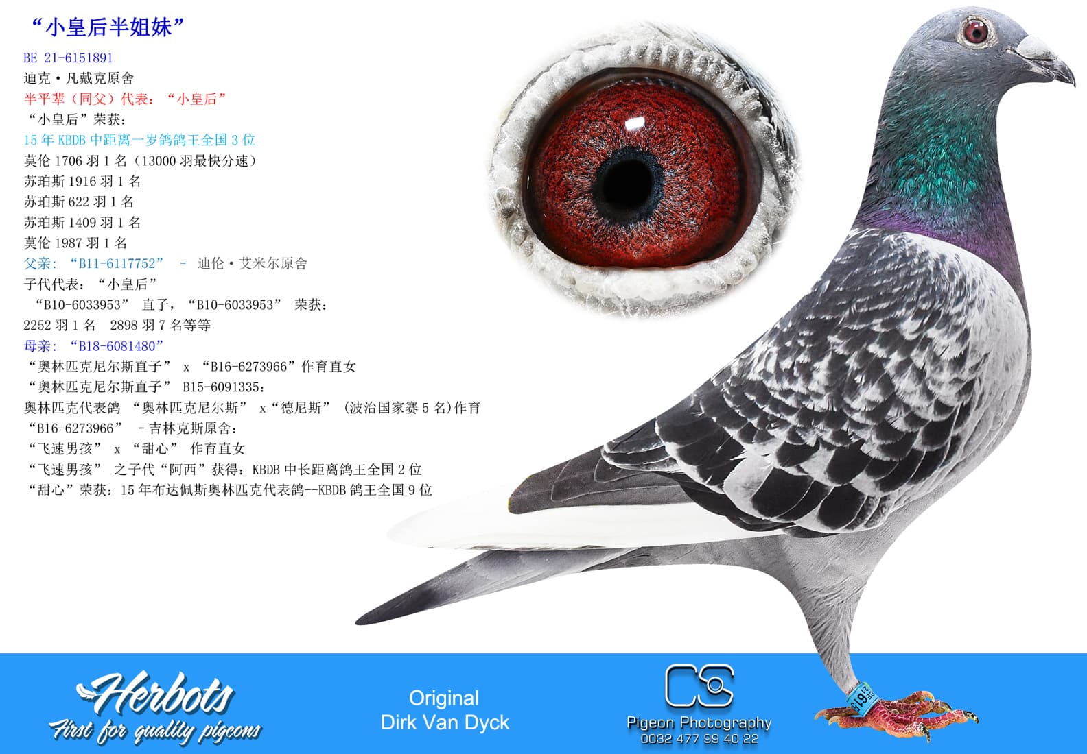 pigeon: undefined