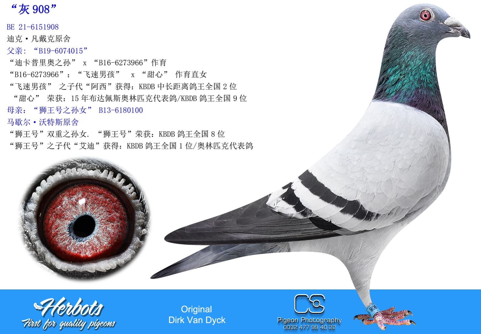 pigeon: undefined