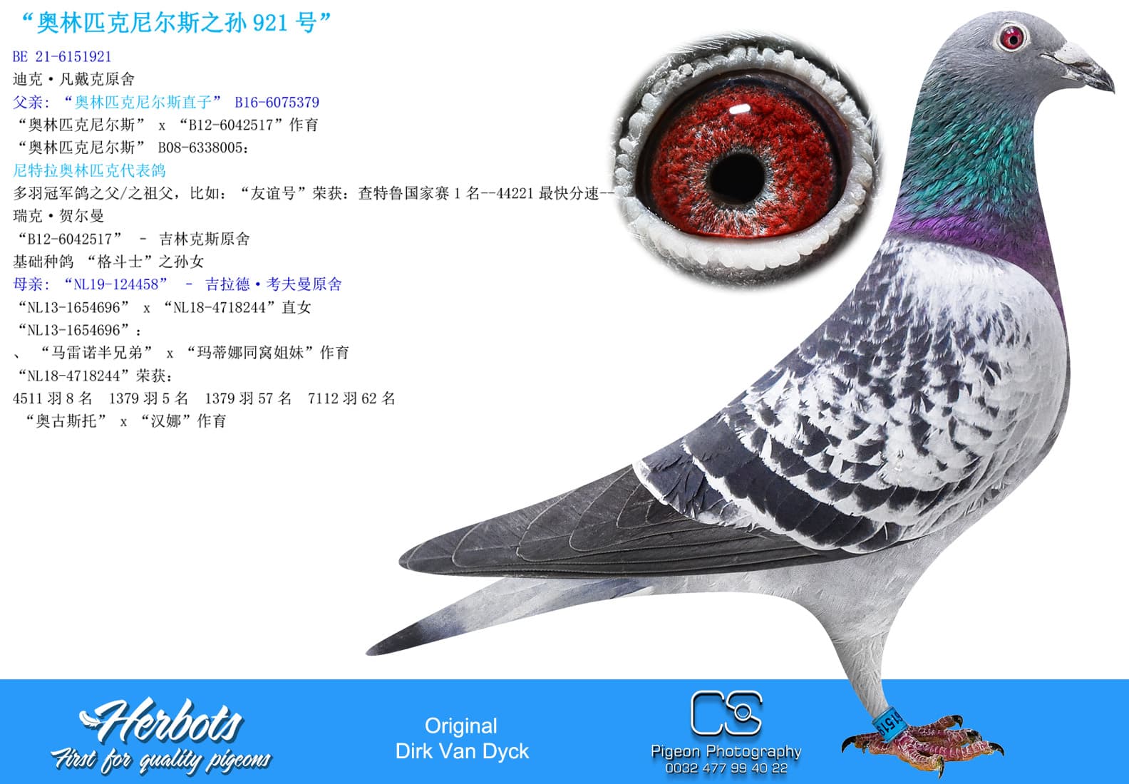 pigeon: undefined