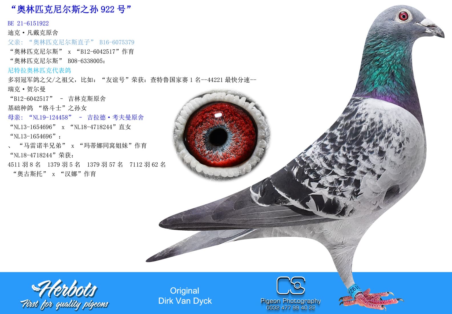 pigeon: undefined