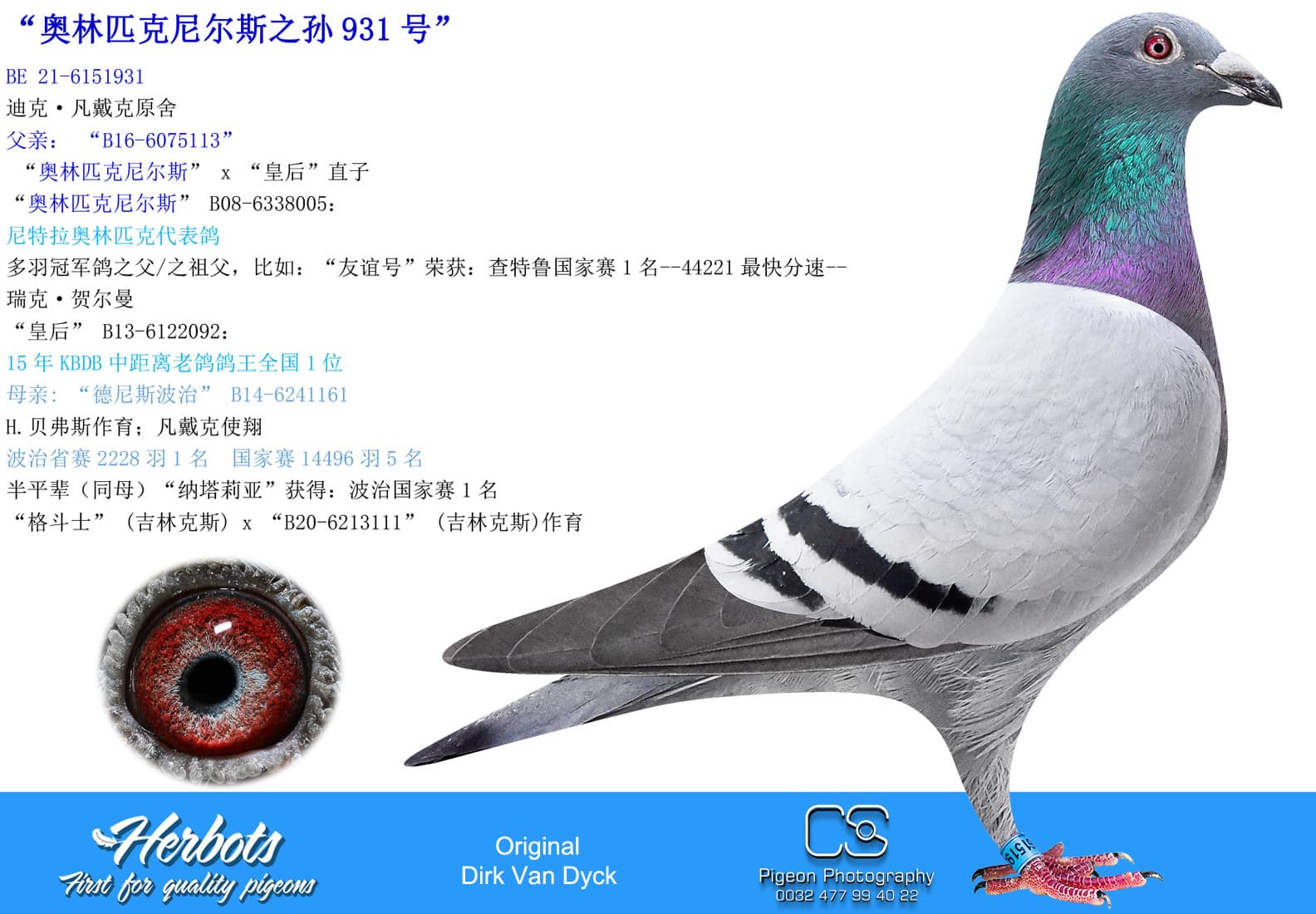 pigeon: undefined