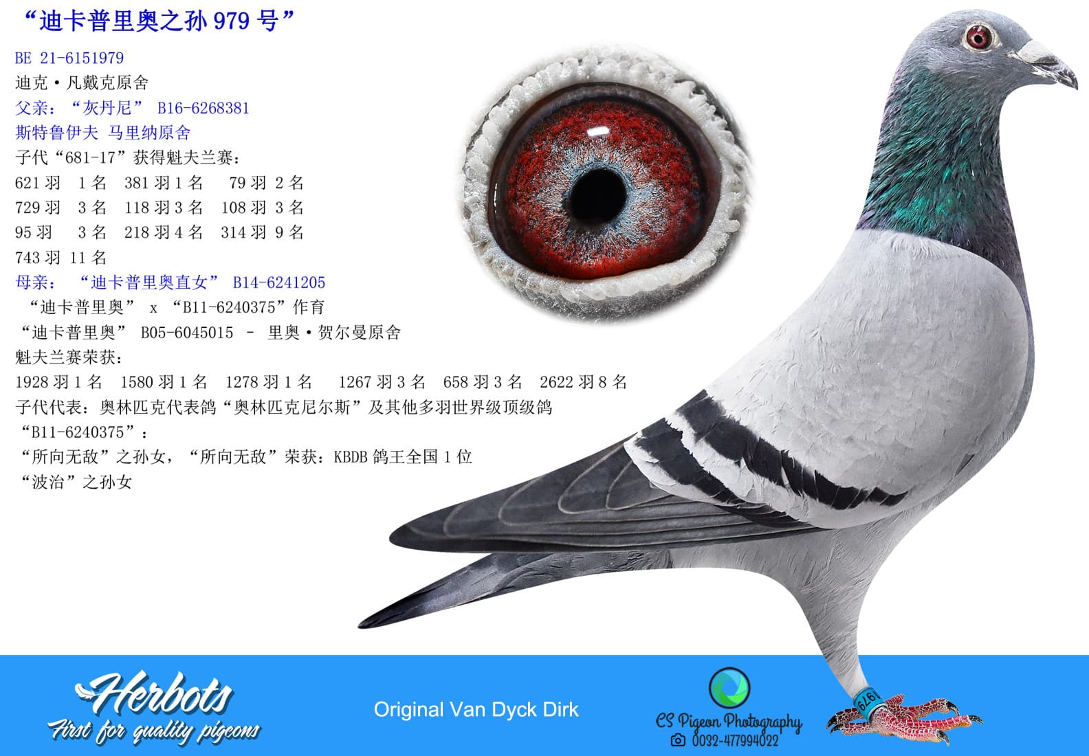 pigeon: undefined