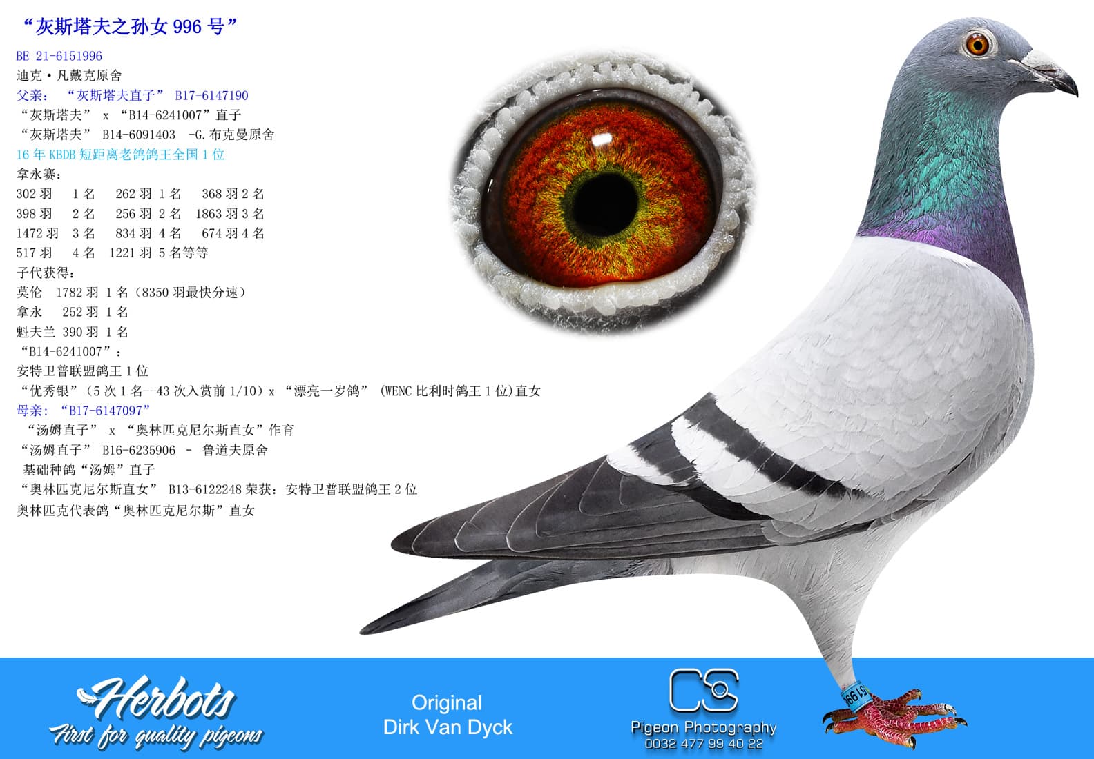 pigeon: undefined