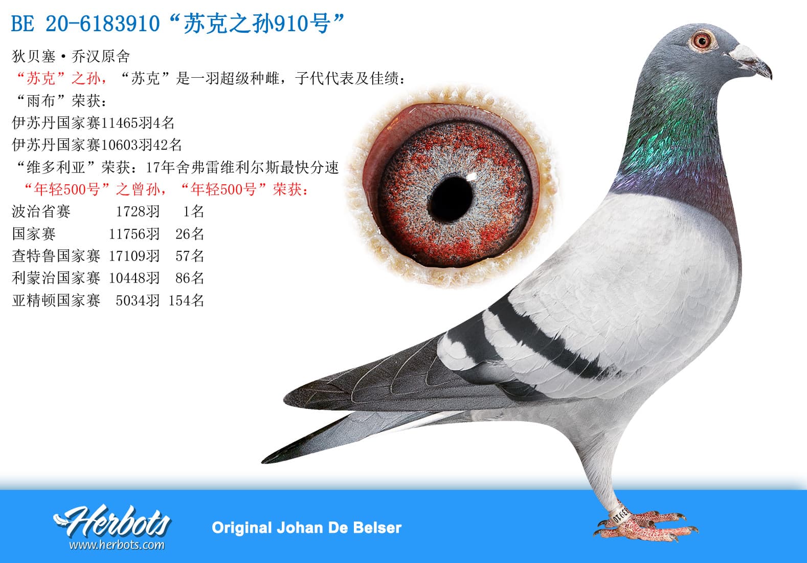 pigeon: undefined
