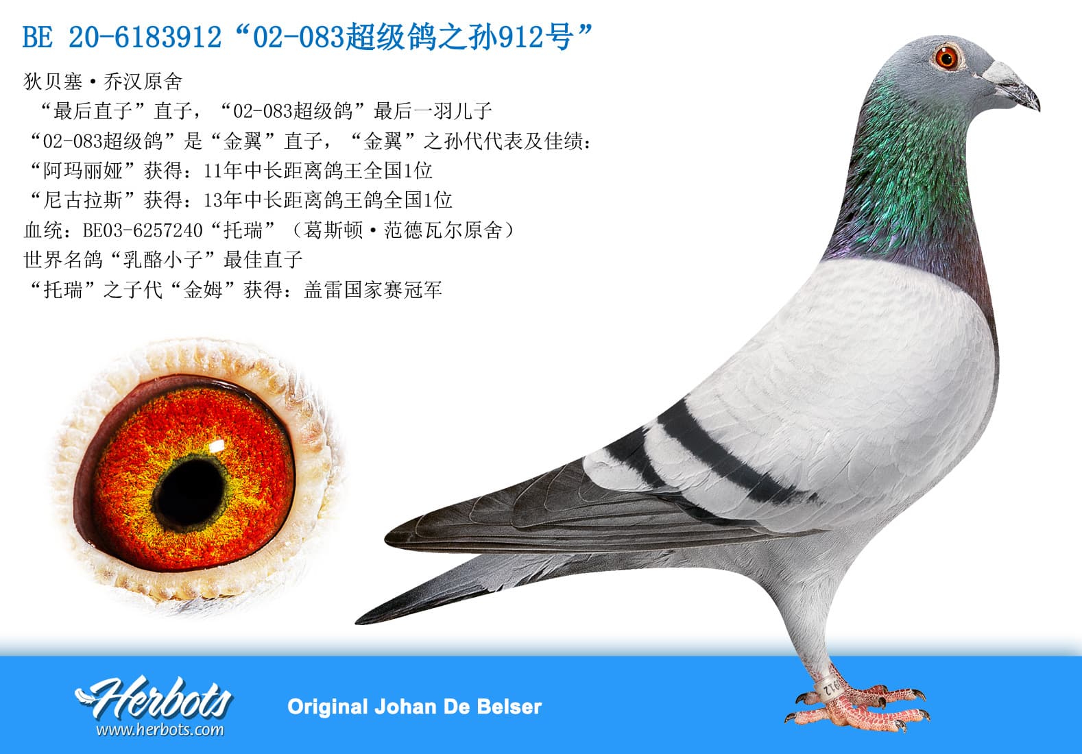 pigeon: undefined