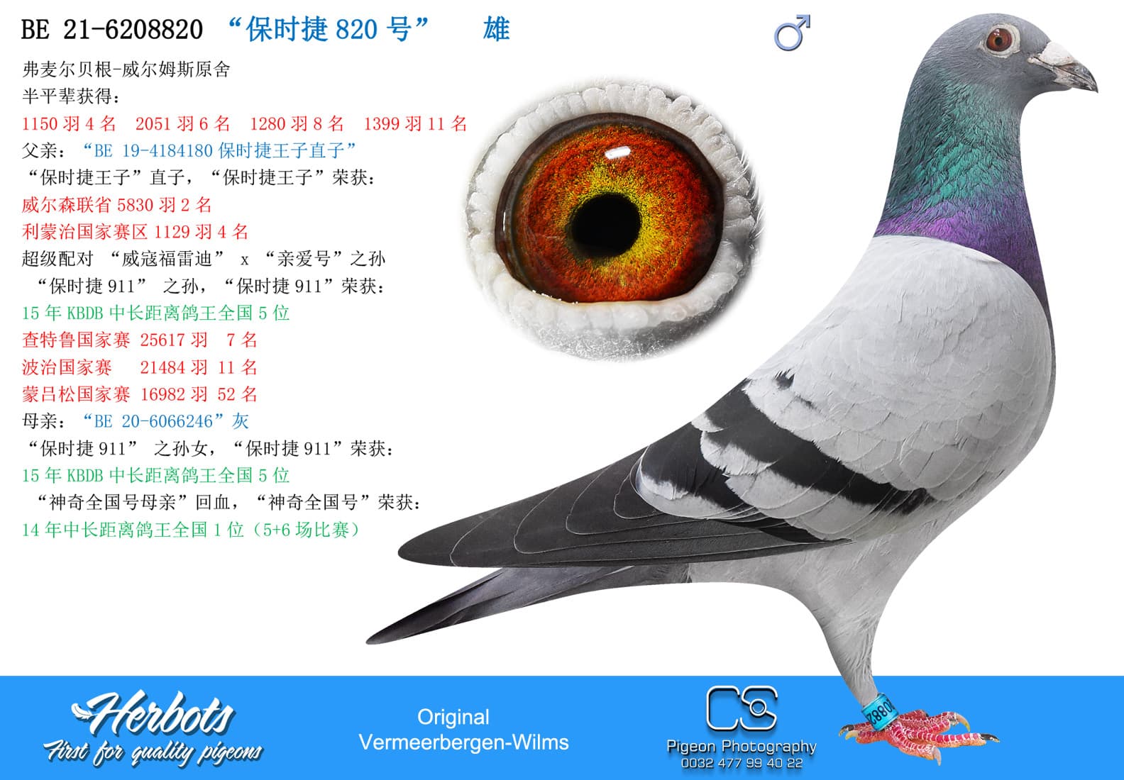 pigeon: undefined