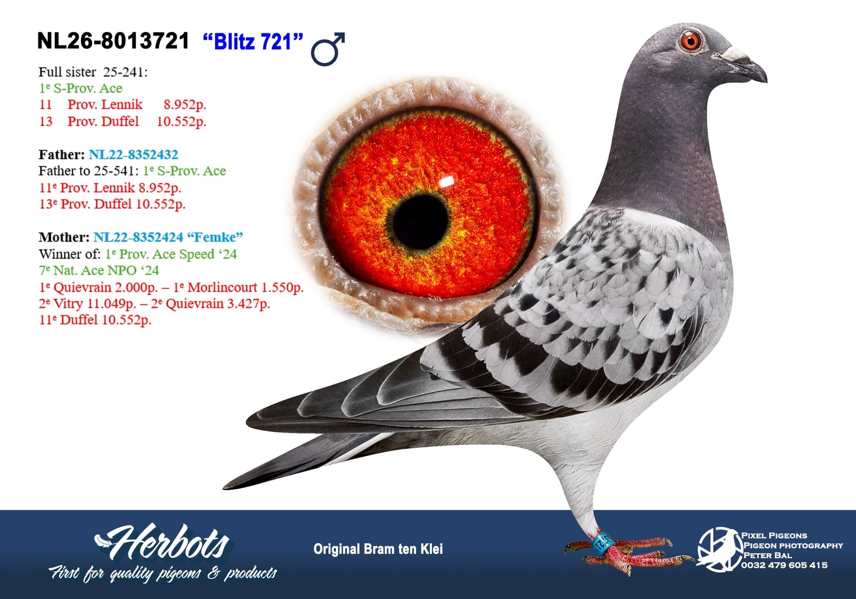 pigeon: undefined
