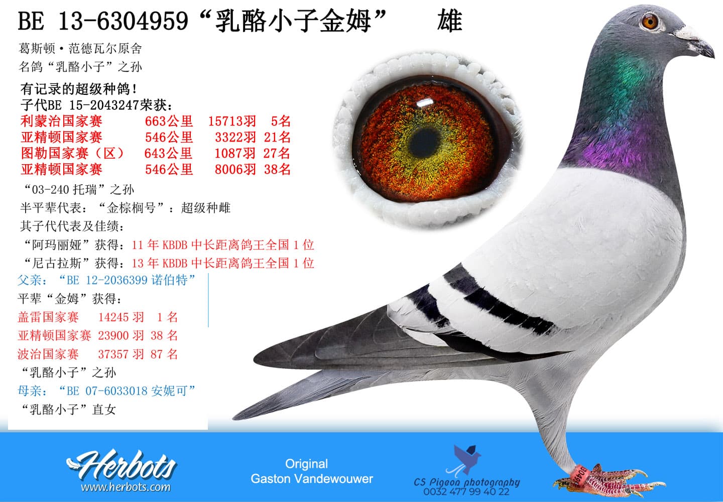 pigeon: undefined