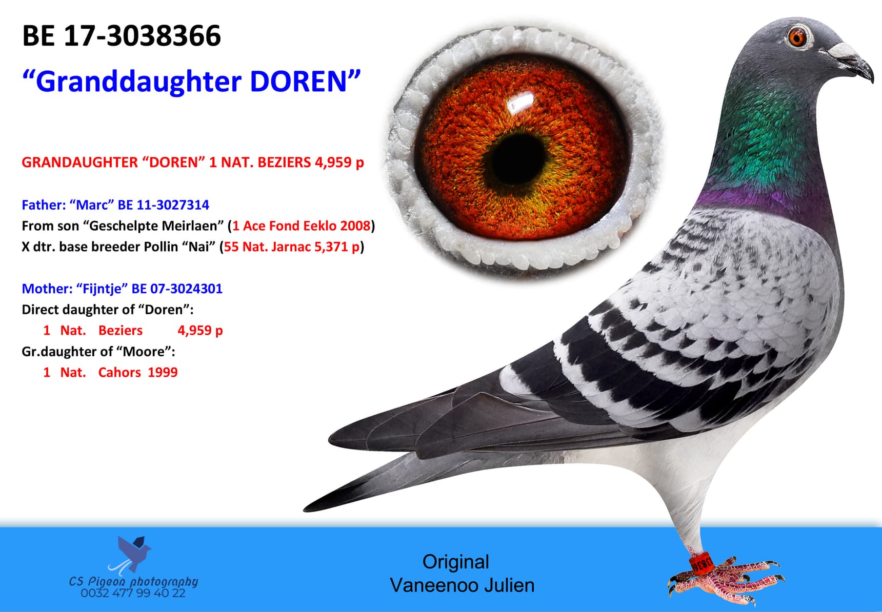 pigeon: undefined