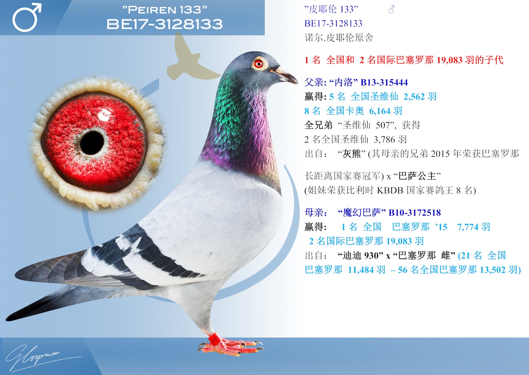 pigeon: undefined