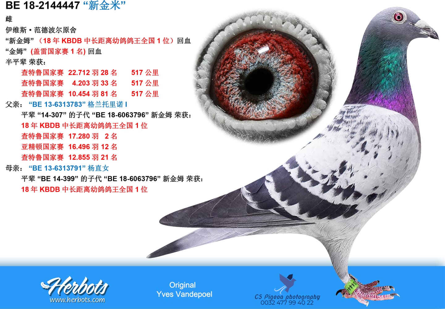 pigeon: undefined