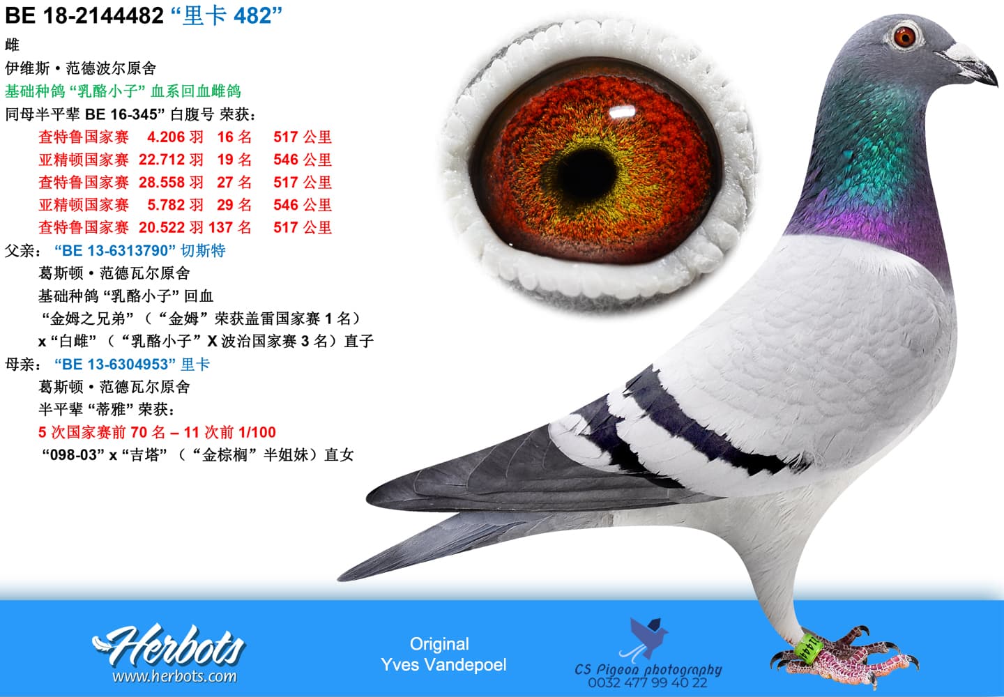 pigeon: undefined
