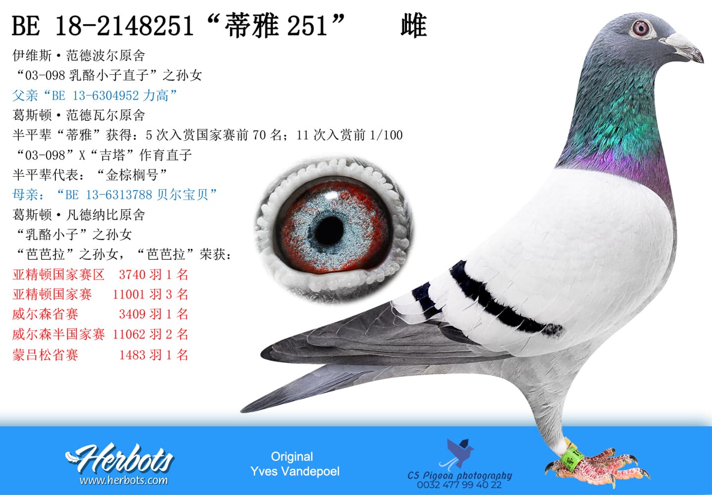 pigeon: undefined