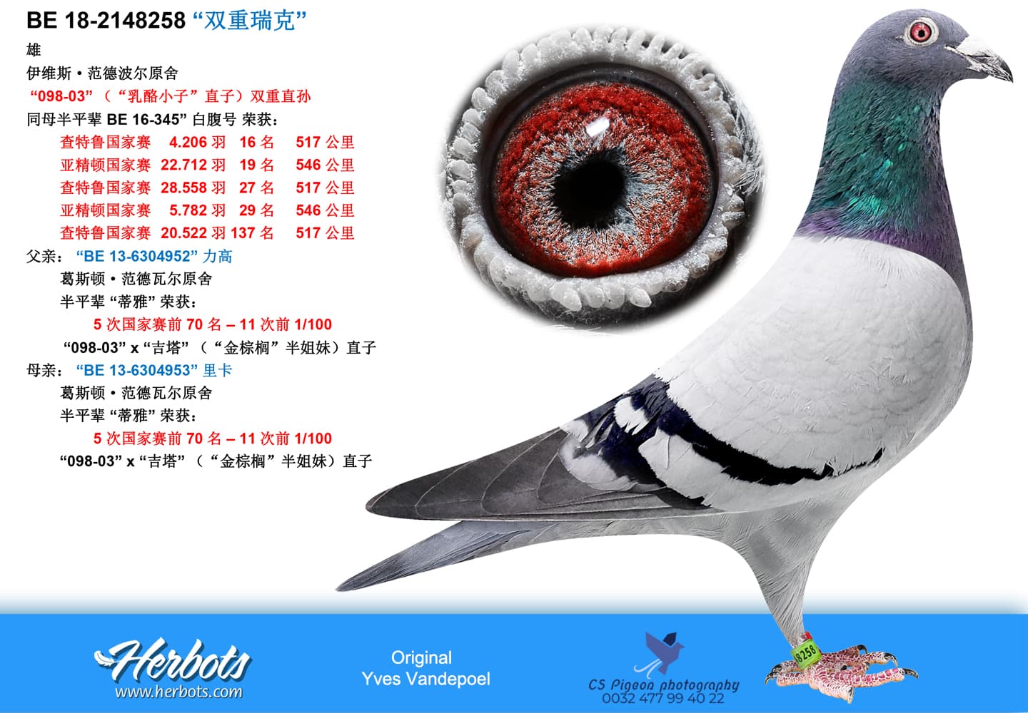pigeon: undefined