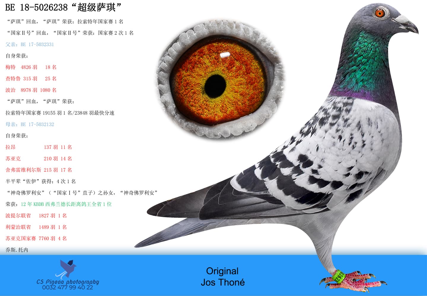 pigeon: undefined