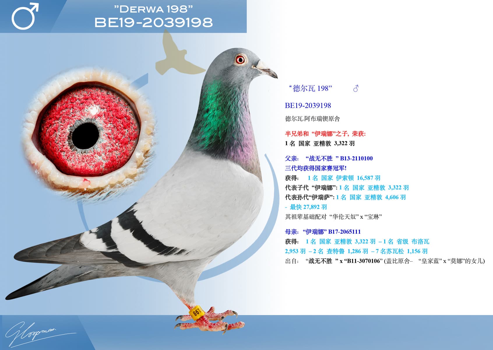 pigeon: undefined