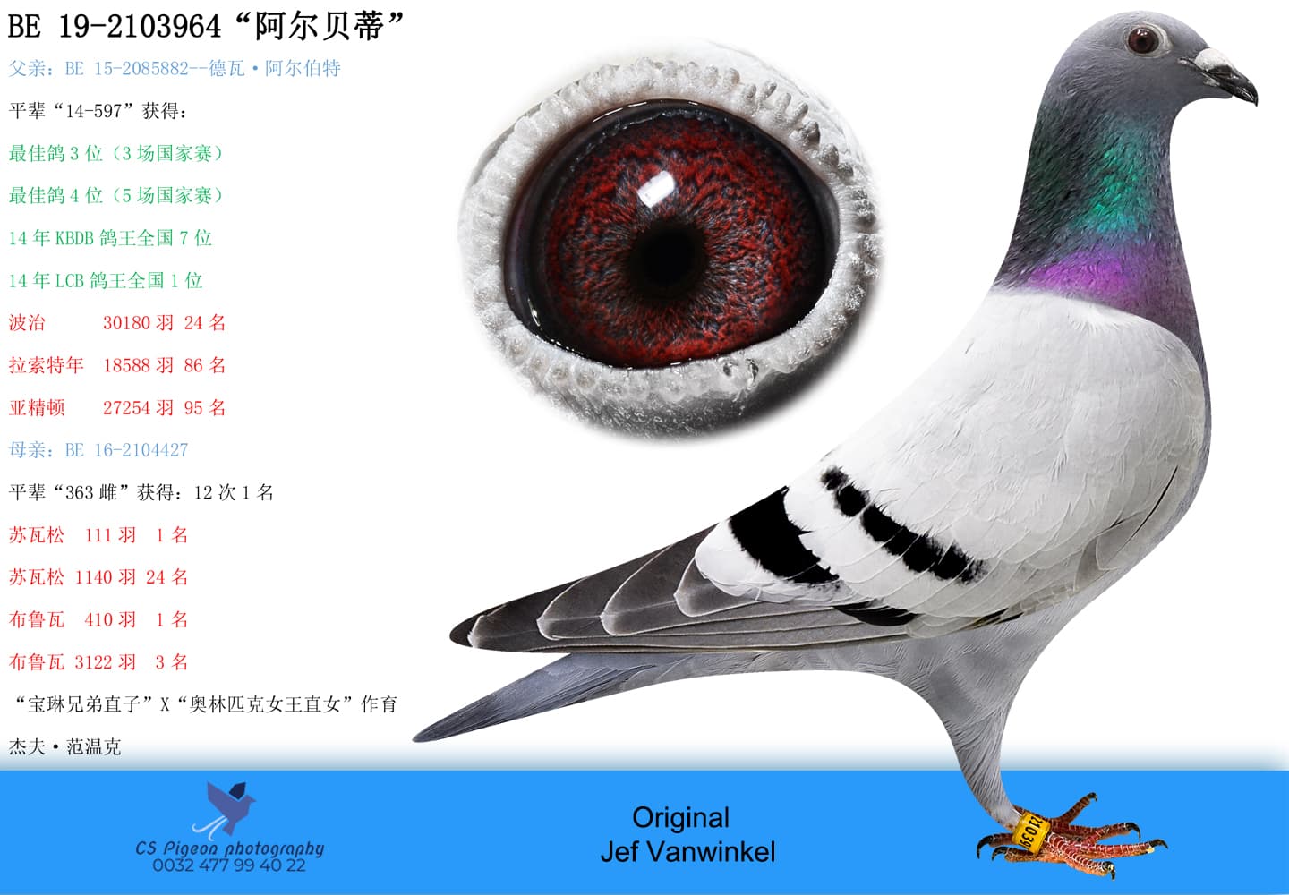 pigeon: undefined