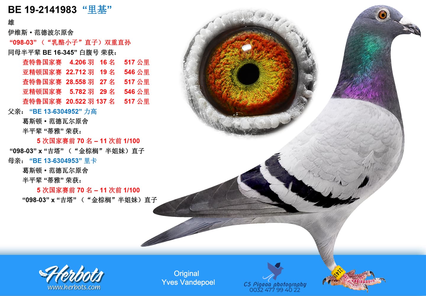 pigeon: undefined