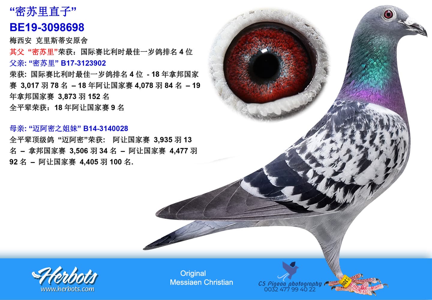 pigeon: undefined