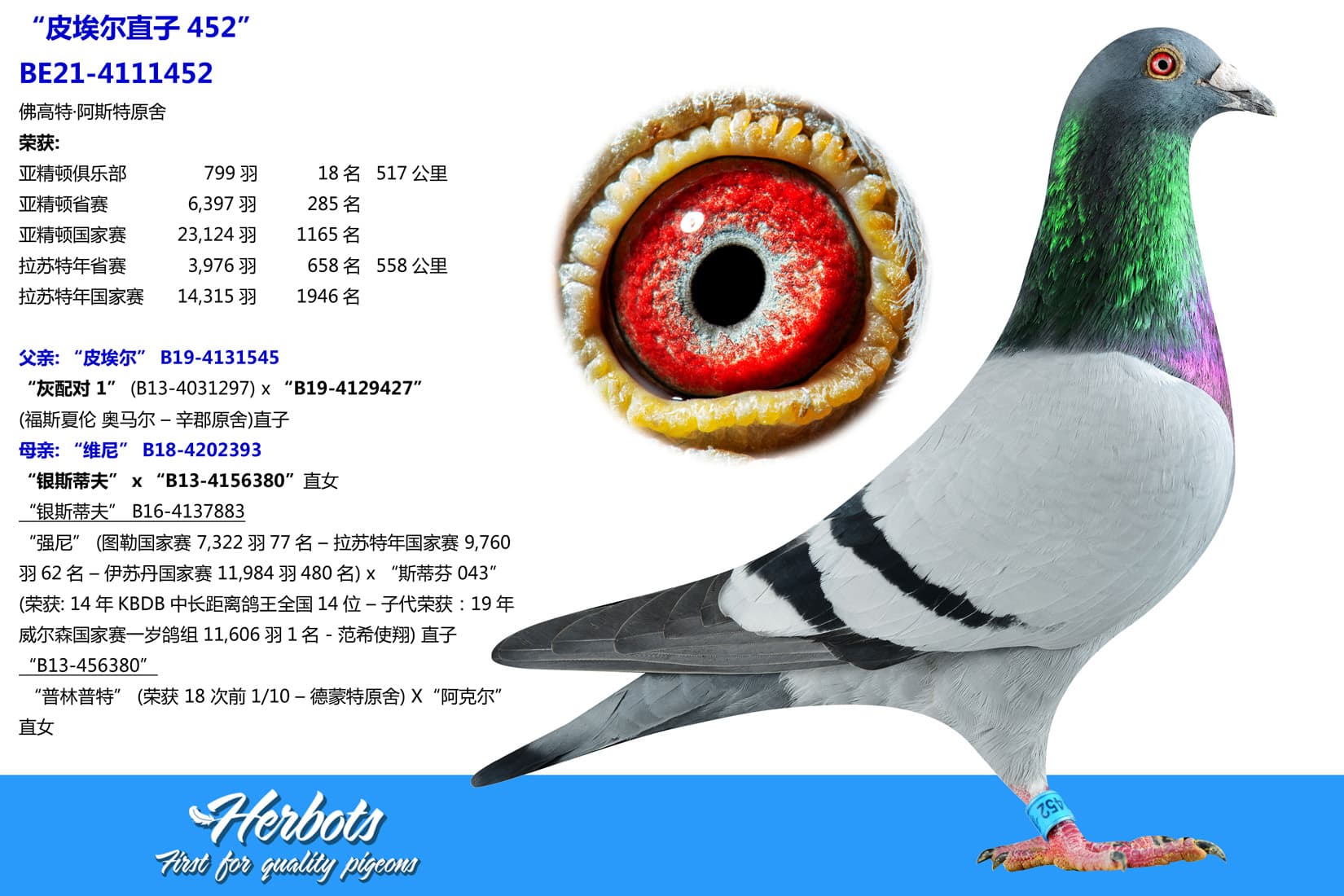 pigeon: undefined