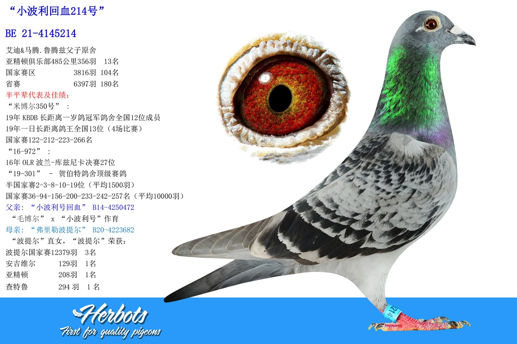 pigeon: undefined