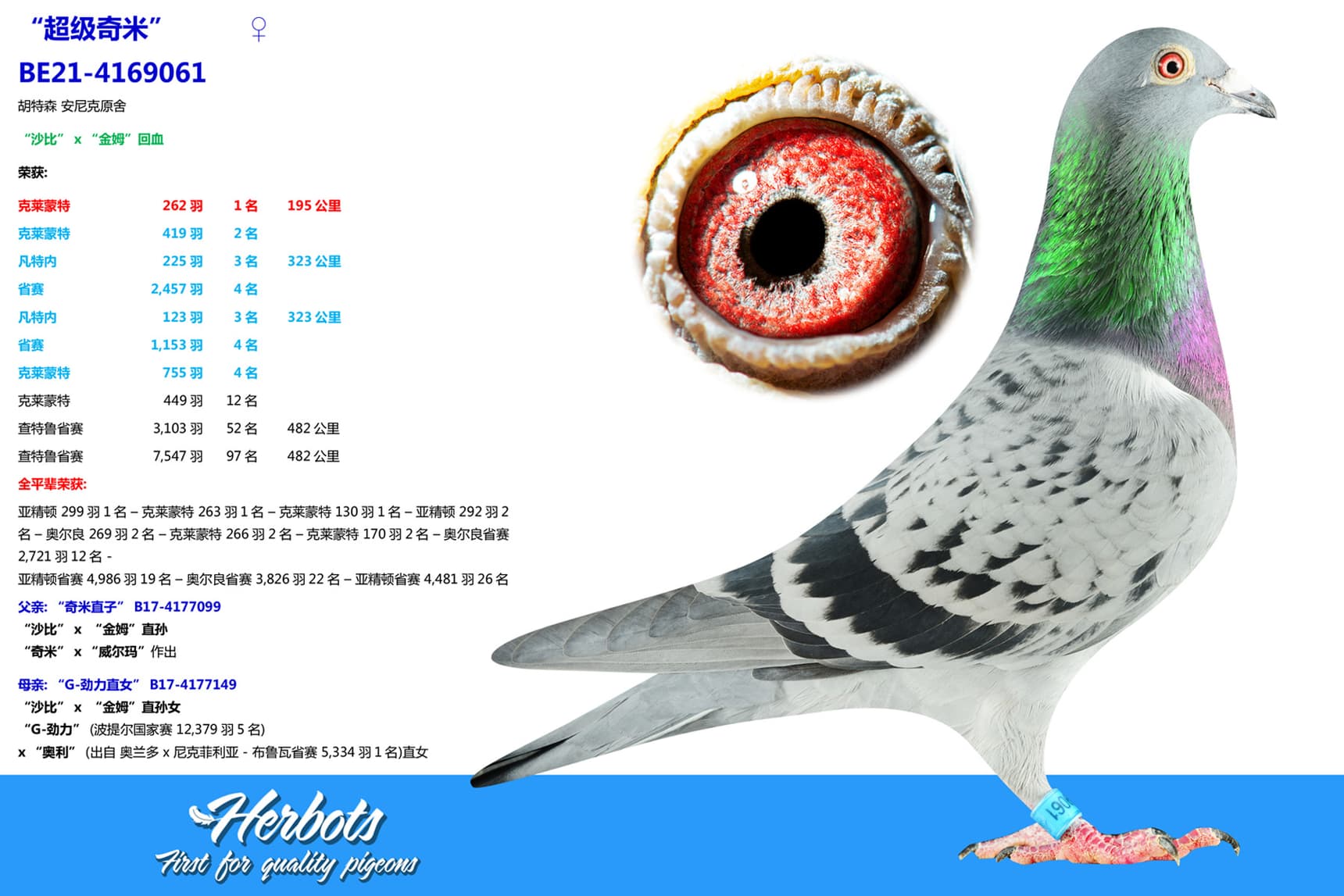 pigeon: “超级奇米”
