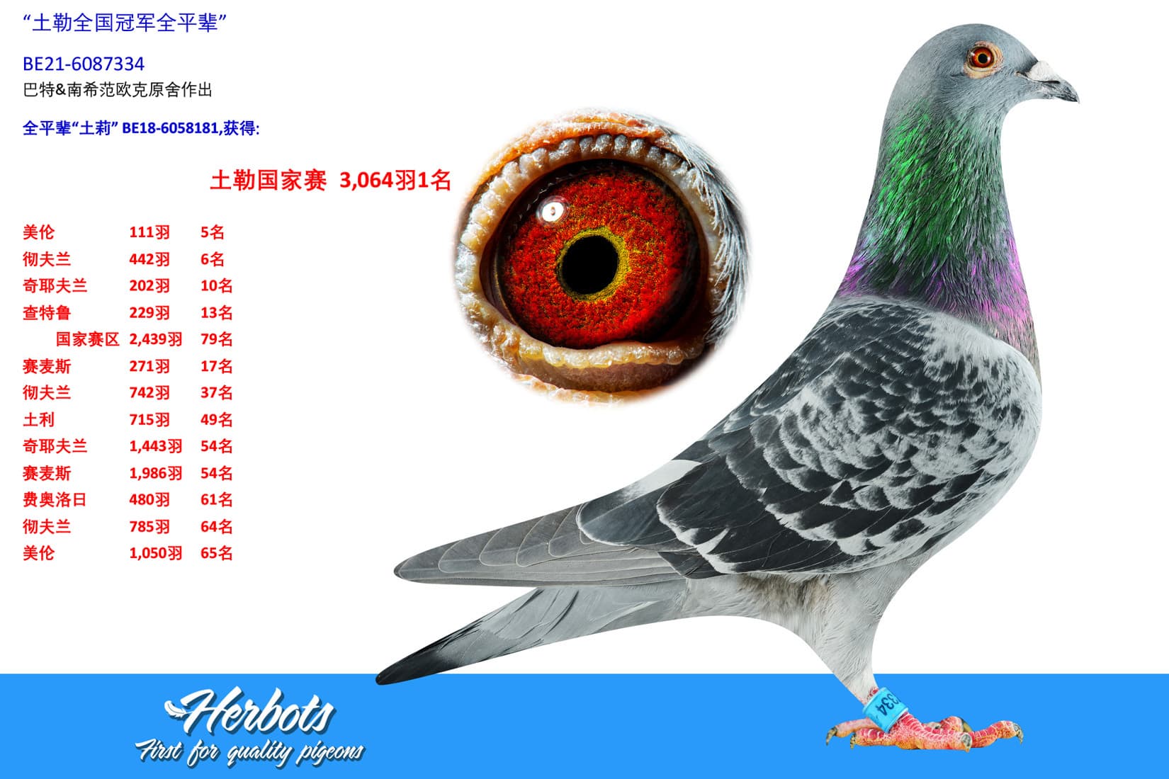 pigeon: undefined
