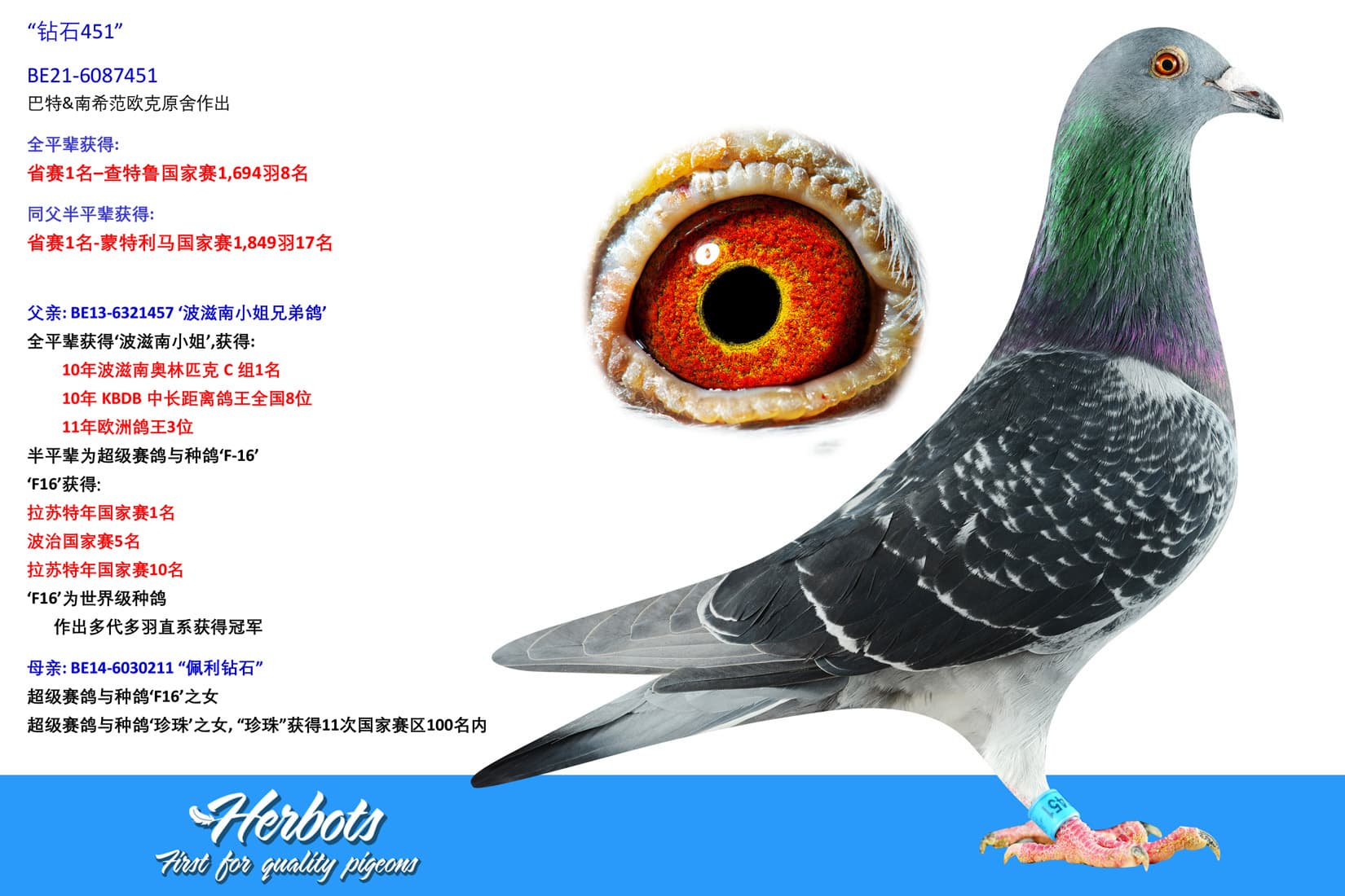 pigeon: undefined