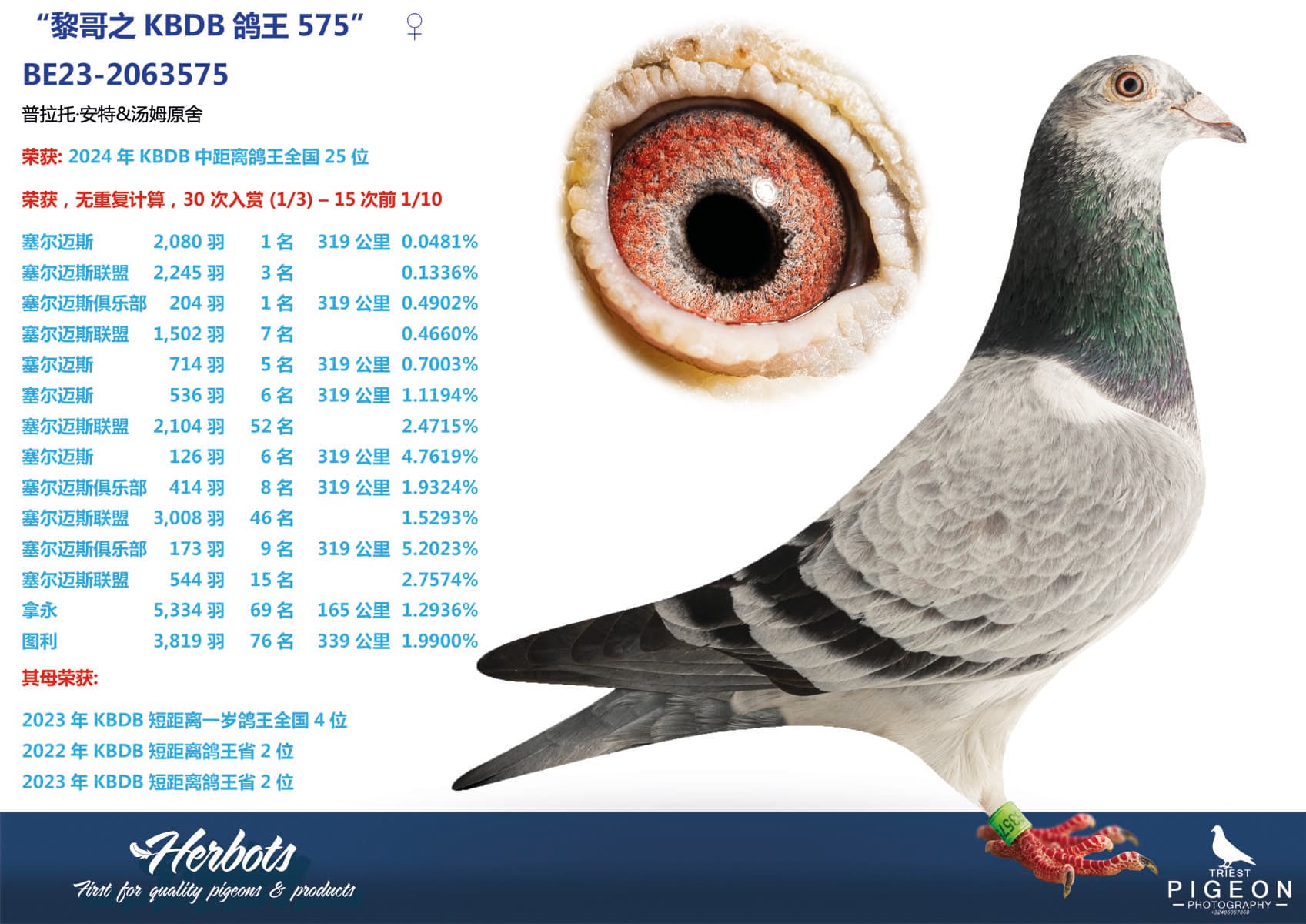 pigeon: undefined