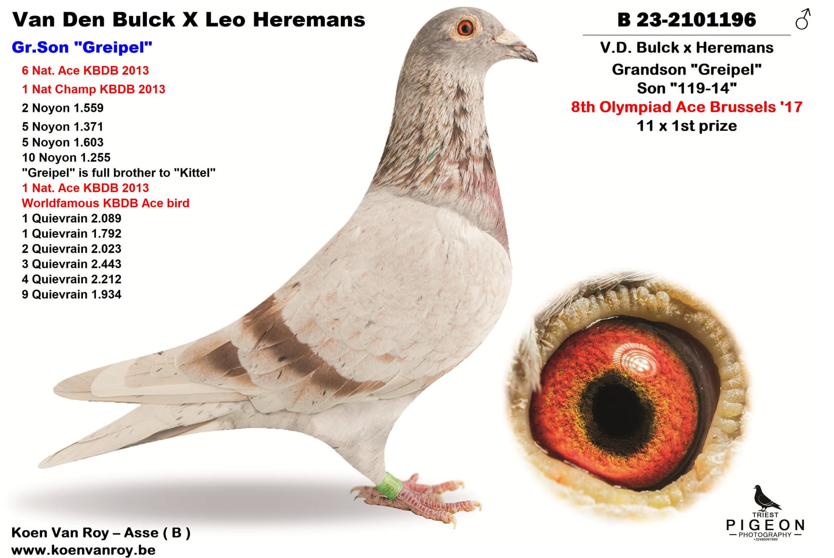 V.D. Bulck x Heremans