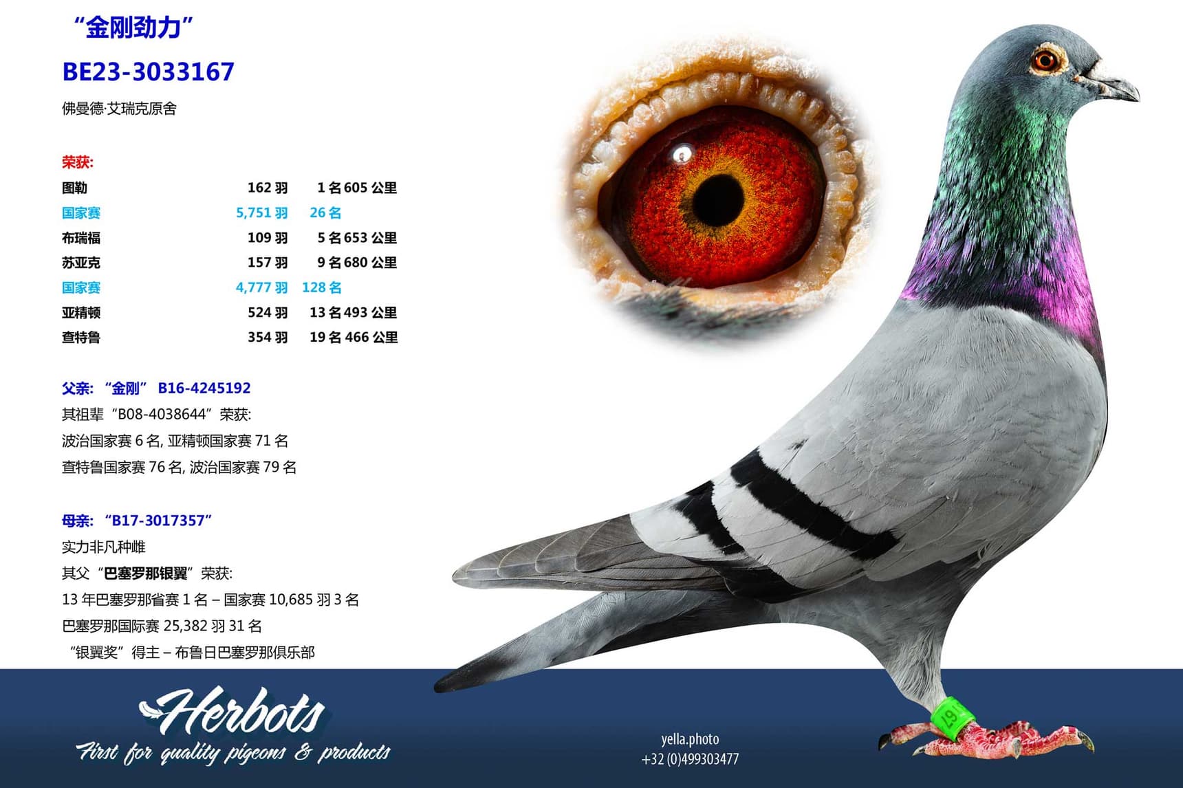 pigeon: undefined