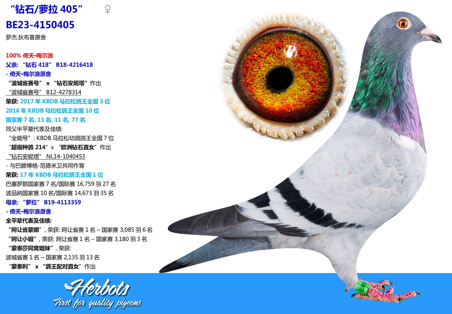 pigeon: undefined