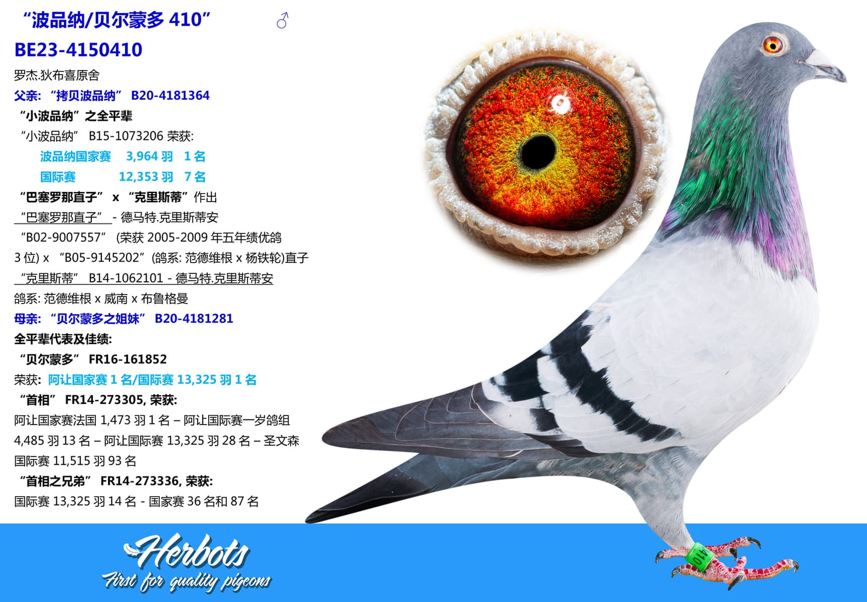 pigeon: undefined