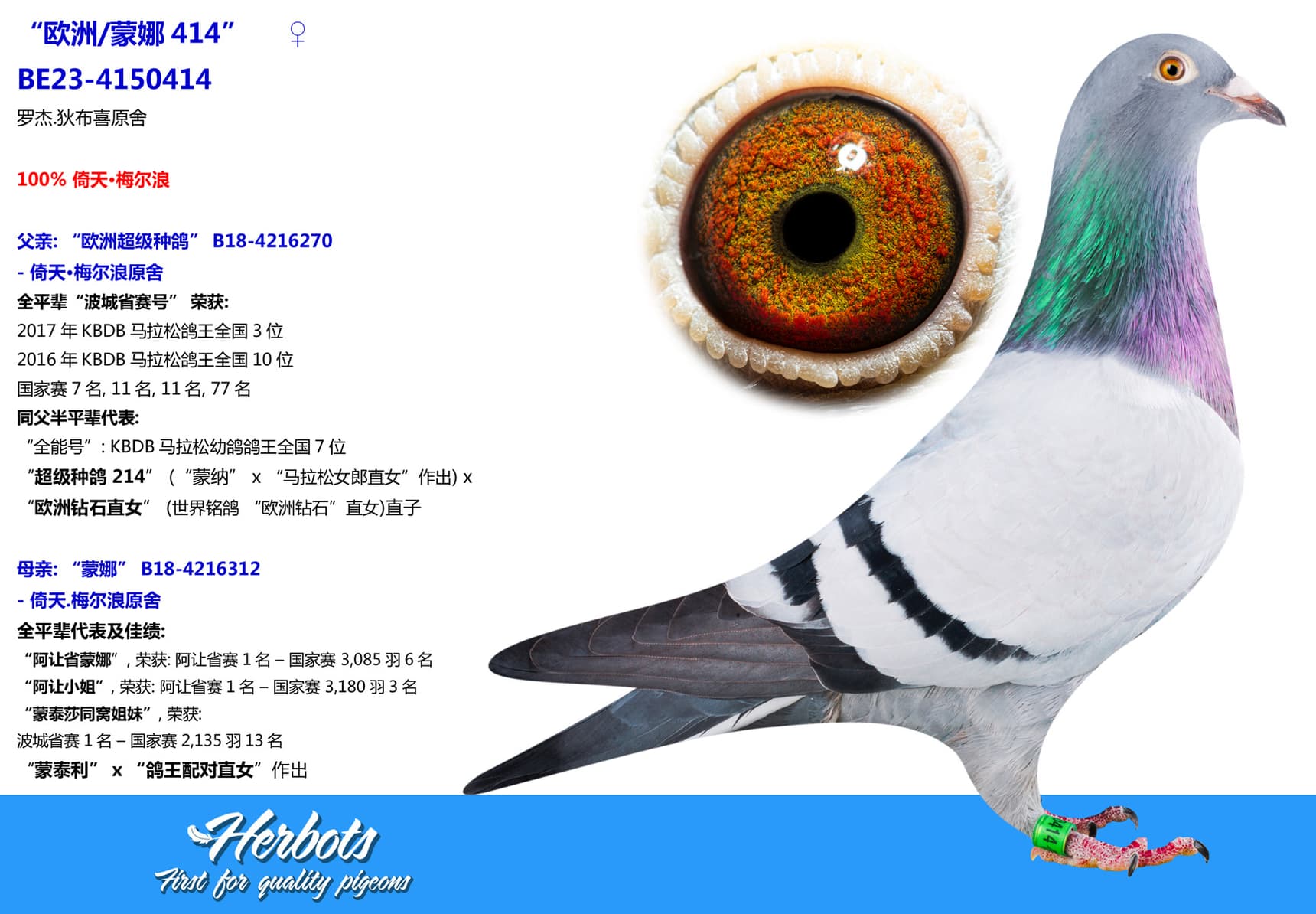 pigeon: undefined