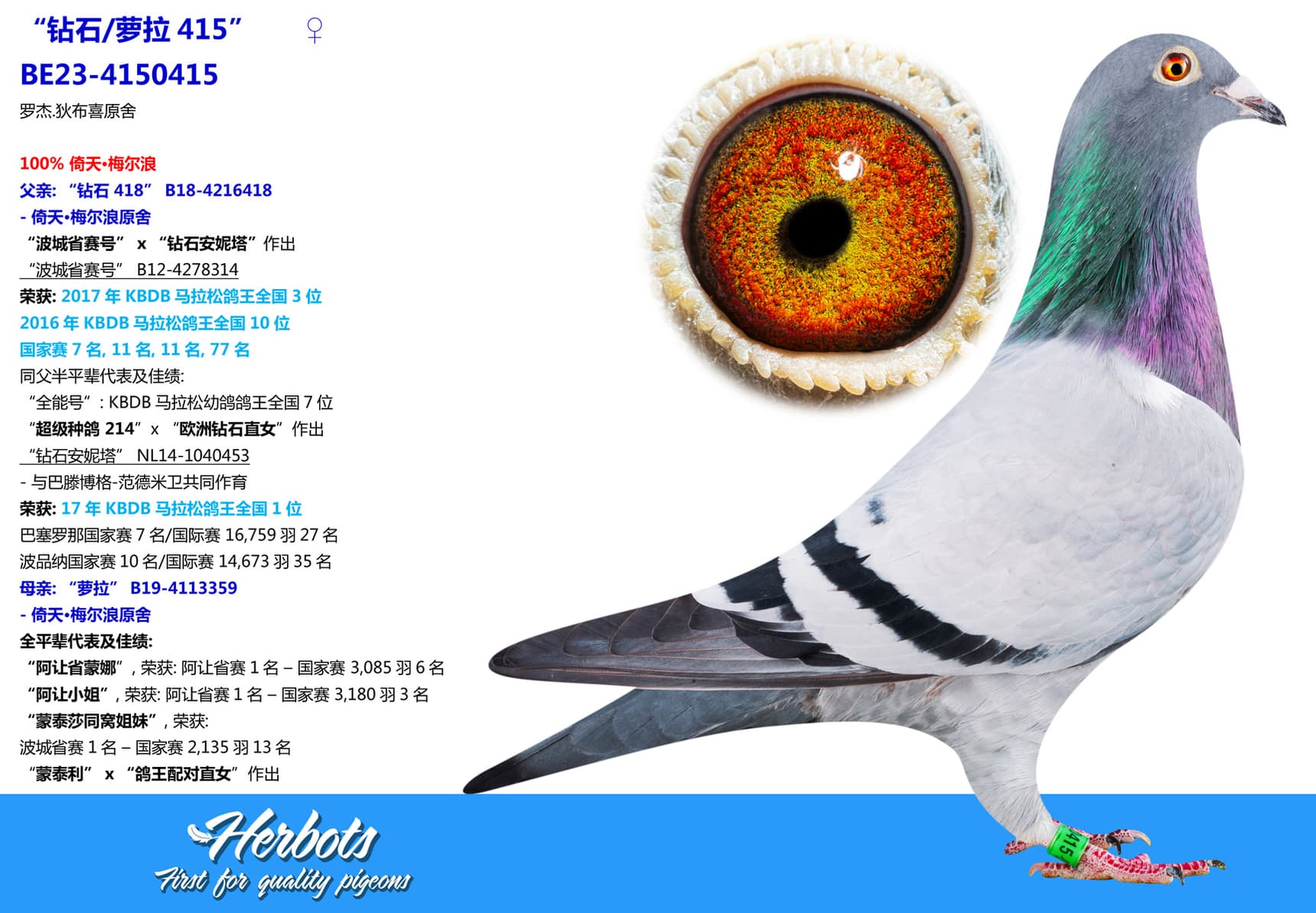 pigeon: undefined