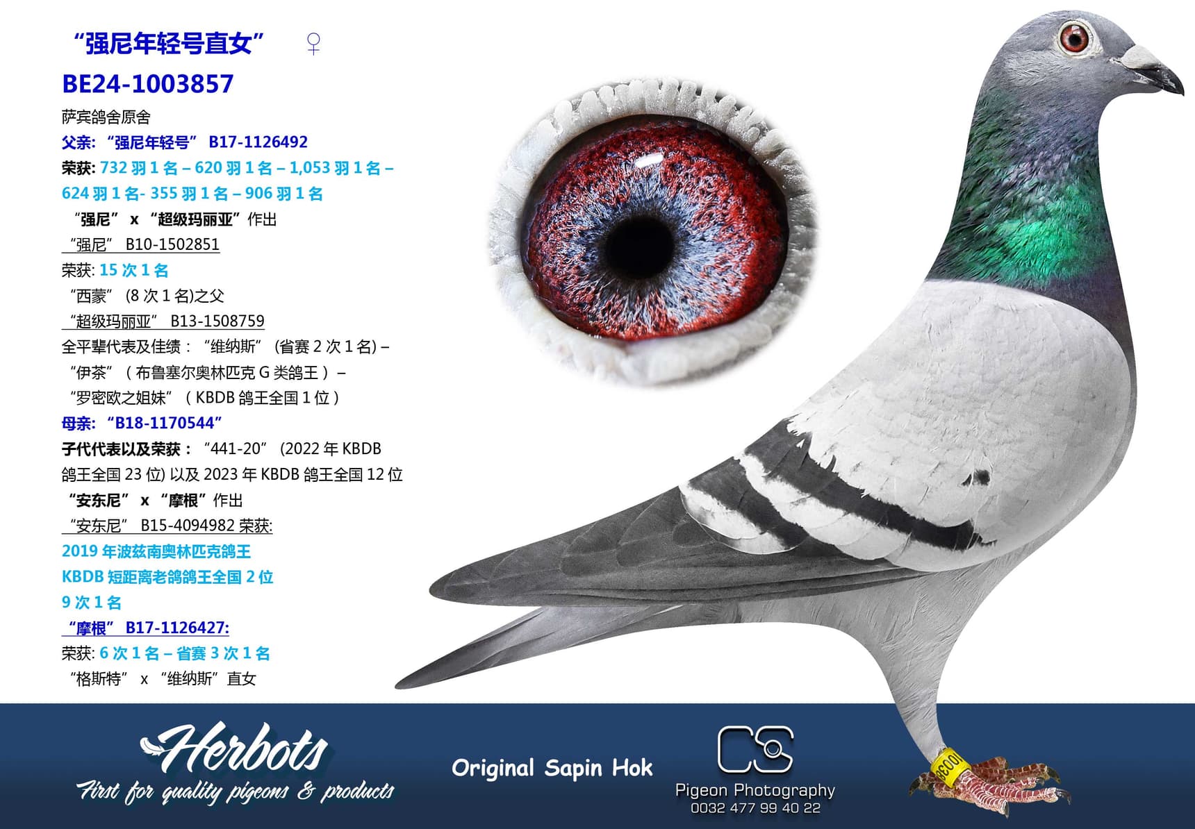 pigeon: “强尼年轻号直女”