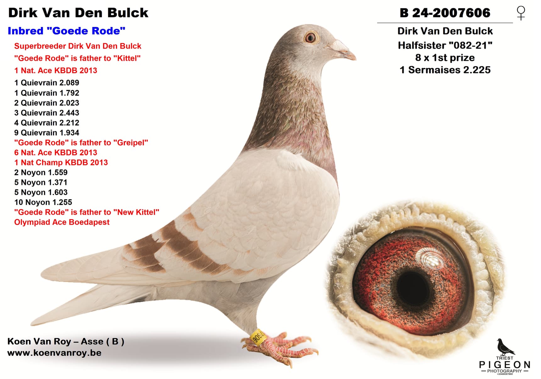 Dirk Van Den Bulck Inbred "Goede Rode"