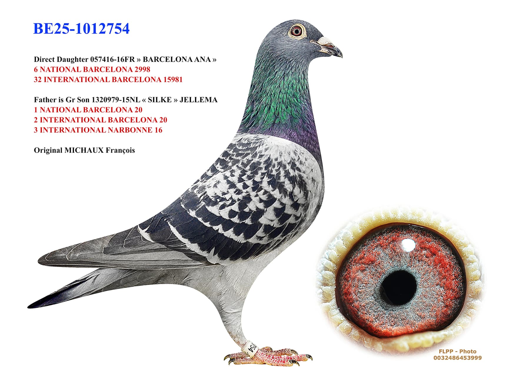 "Daughter BARCELONA ANA 754"