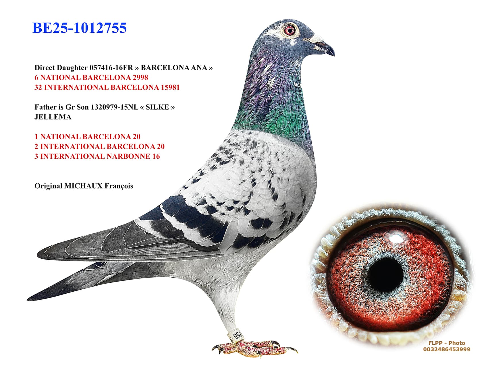 "Daughter BARCELONA ANA 755"