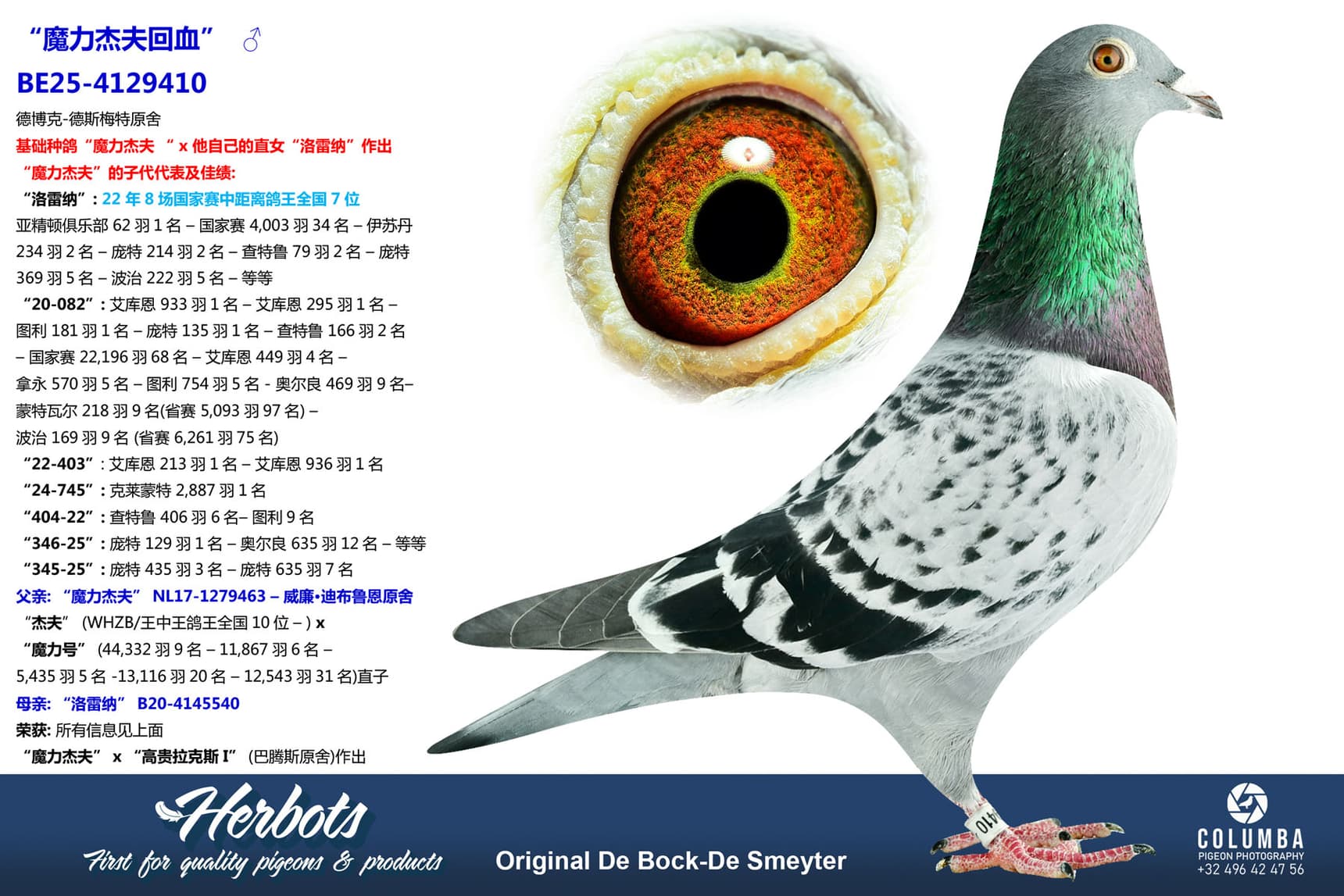 pigeon: undefined